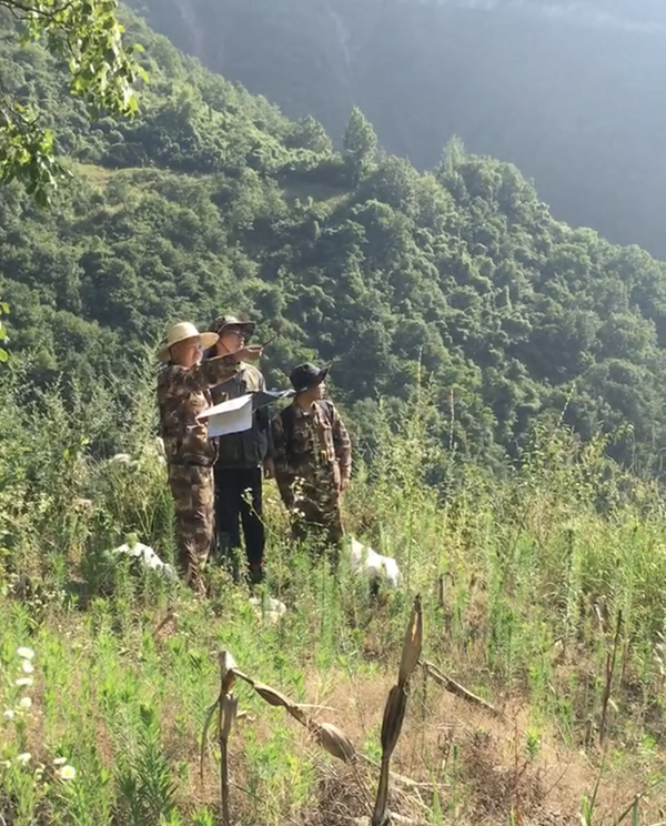 無懼“烤”驗，不負(fù)“熱”愛，用堅持成就不凡！----我公司陜西省鎮(zhèn)安縣早陽山一帶鈷多金屬礦預(yù)查項目找礦成果顯著