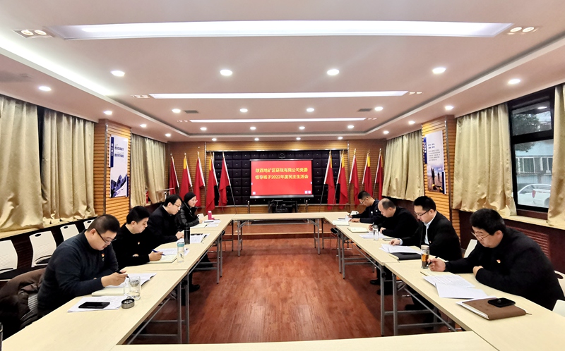 陜西地礦區(qū)研院有限公司黨委領(lǐng)導(dǎo)班子召開2022年度民主生活會